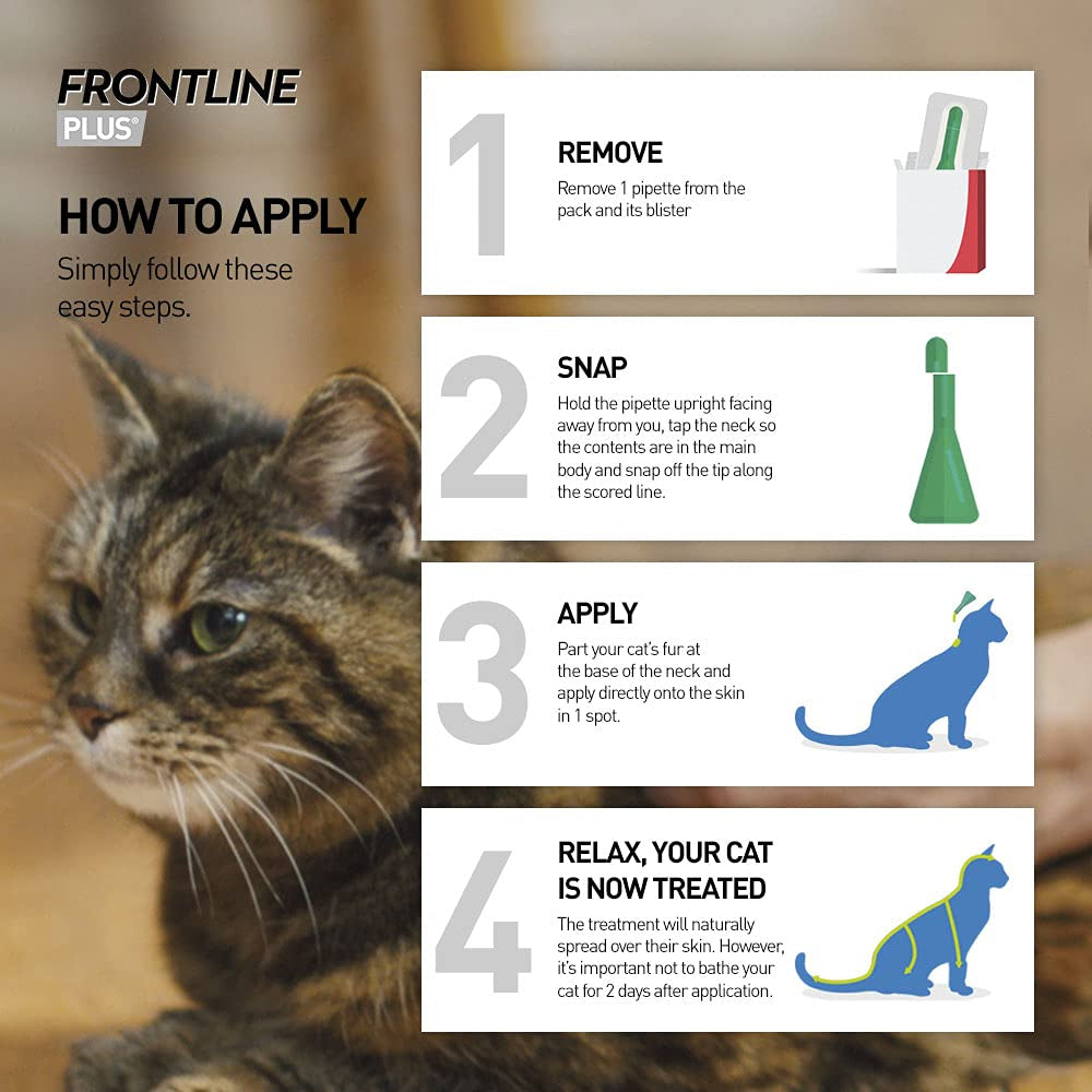 FRONTLINE plus Flea & Tick Treatment for Cats and Ferrets - 6 Pipettes (Pack of 1)