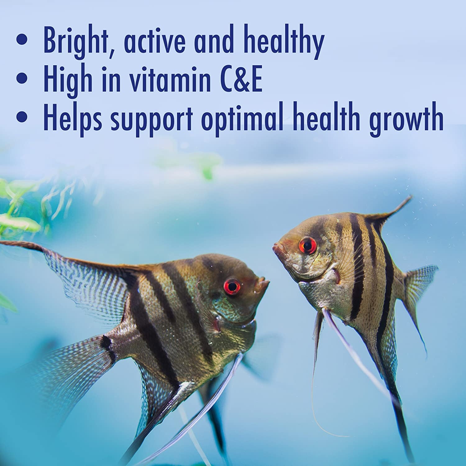 Complete Nutrition, Aquarium Tropical & Temperate Fish Food Flakes, 50G Container