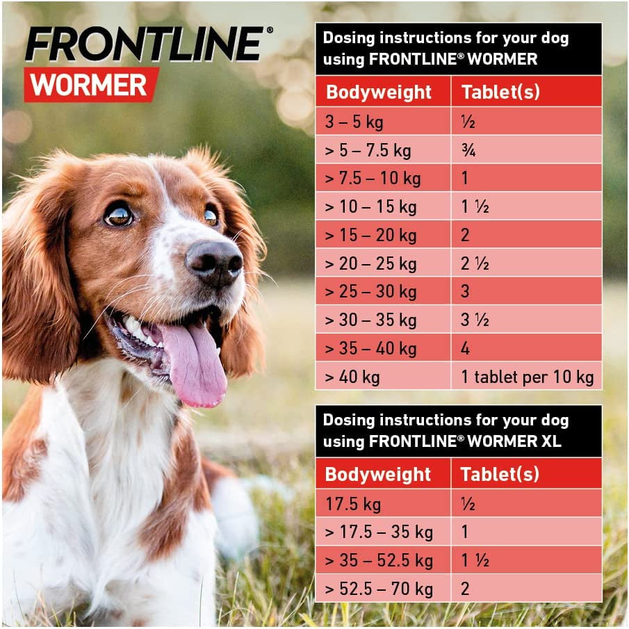 WORMER - Worming Tablets for Dogs - 2 Tablets, White